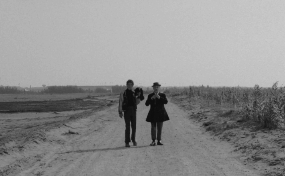 Idillio poetico tra Totò e Pasolini