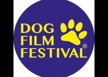 Dog Film Festival